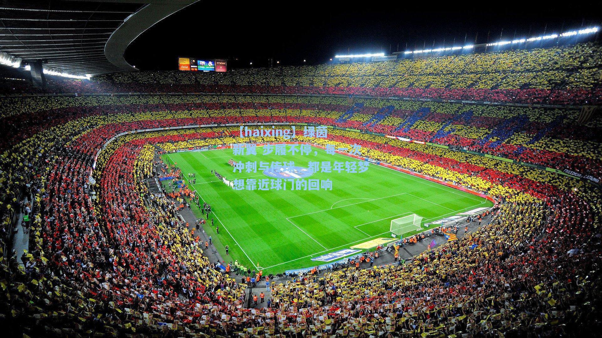 绿茵新翼 步履不停,每一次冲刺与传球,都是年轻梦想靠近球门的回响