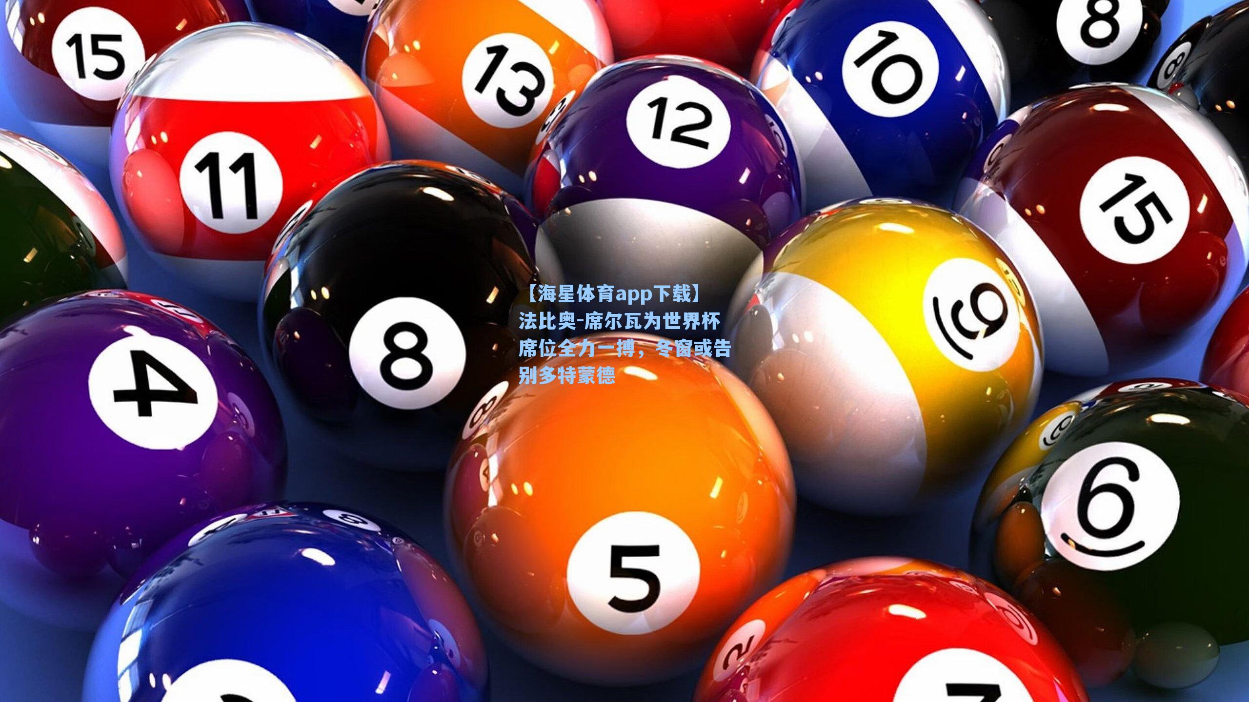 法比奥-席尔瓦为世界杯席位全力一搏，冬窗或告别多特蒙德