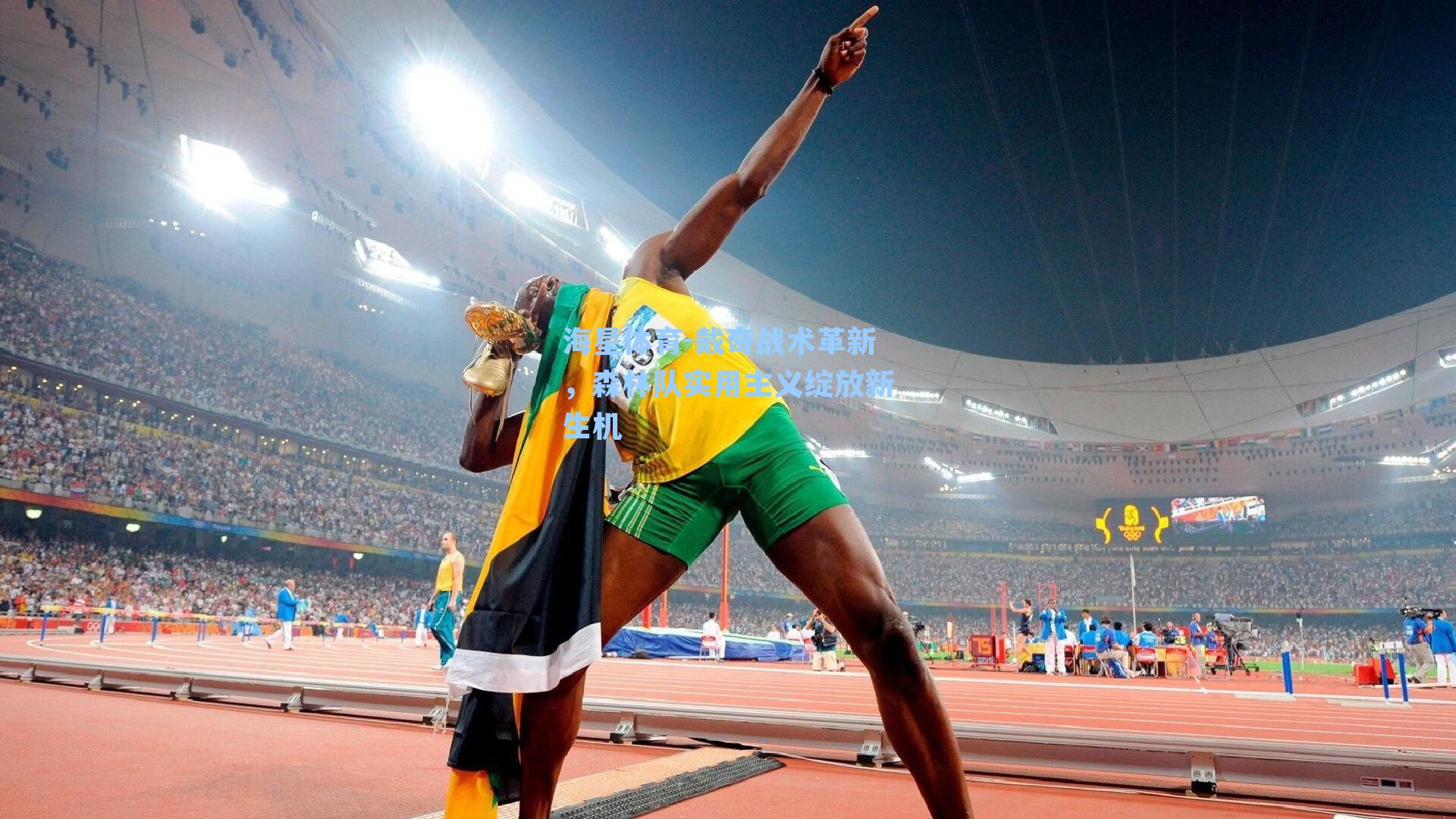 戴奇战术革新，森林队实用主义绽放新生机